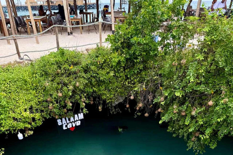 Zanzibar: Las Jozani, Jaskinia Salaam i restauracja RockLas Jozani, jaskinia Salaam i restauracja The Rock. Bez transportu.