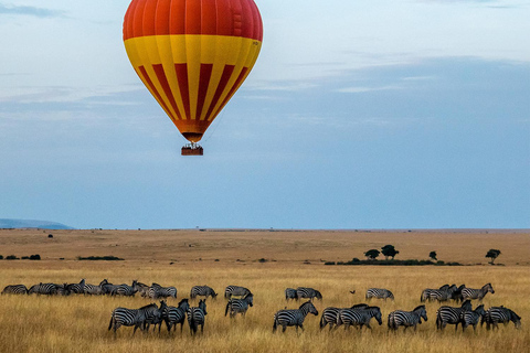 Um safári compartilhado de três dias para o Masai Mara saindo de Nairóbi.Um safári compartilhado de três dias para Masai Mara saindo de Nairobi.