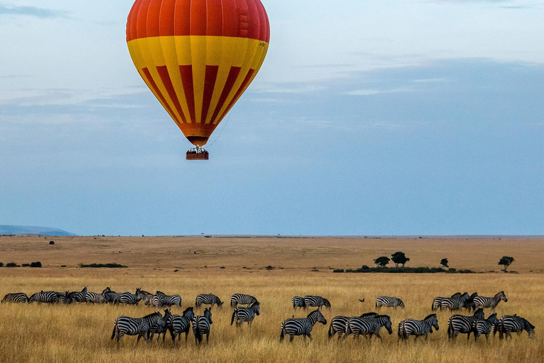 Un safari partagé de trois jours à Masai Mara au départ de Nairobi.