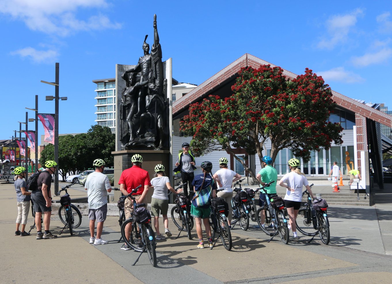 Wellington: Easy Rider guidet tur på eBike