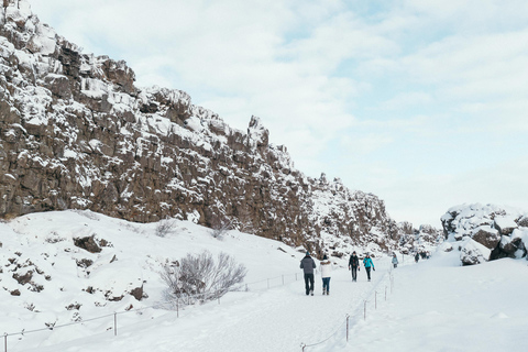 Reykjavík: Golden Circle Afternoon Tour