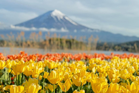 MOUNT FUJI DAGVULLENDE TOUR MET ENGELSE GIDSprivétour in het engels