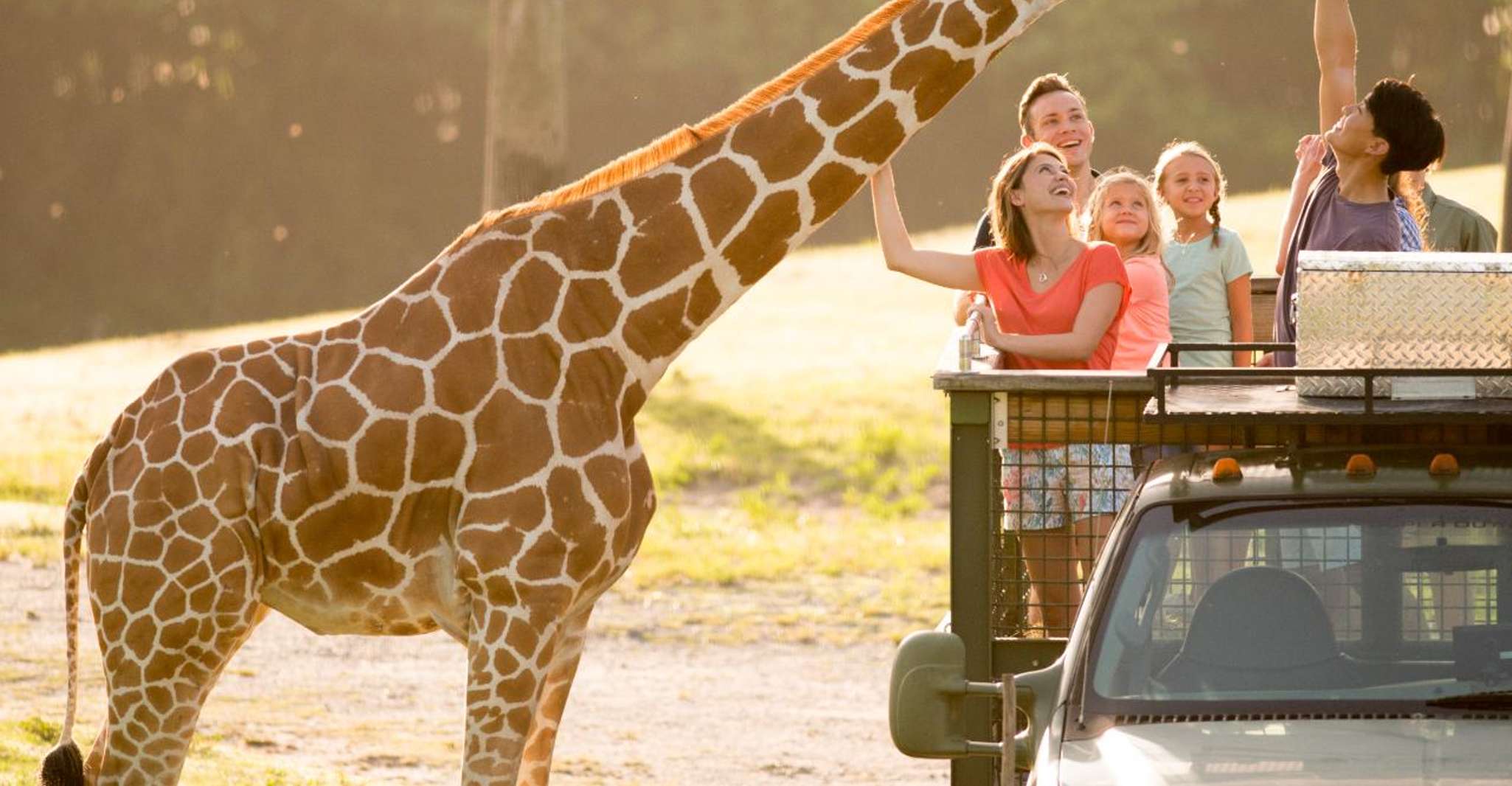 Tampa: Busch Gardens Tampa Bay Ticket & Multi-Park Options