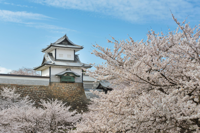 3-Hour Kanazawa Tour: Omicho Market, Castle, and Garden