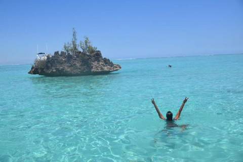 Rivière Noire : Nager avec les dauphins en bateau rapide avec déjeuner