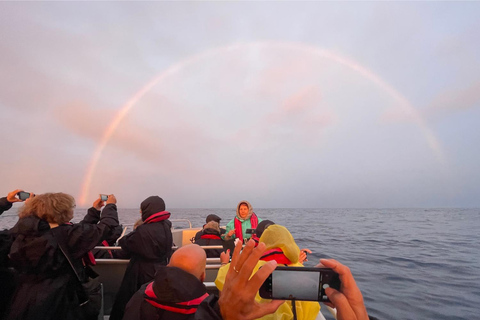 Île de Faial : Tour en bateau unique au volcan Capelinhos