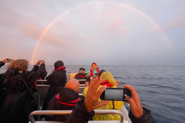 Île de Faial : Tour en bateau unique au volcan Capelinhos