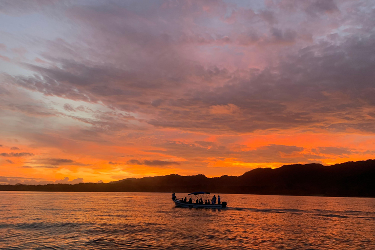 Bioluminescence Night Snorkeling Tour From Pochote Beach