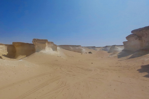 Doha: West Coast Qatar Tour, Sculptures, Camel Racing track From Doha Premium West Qatar Tour