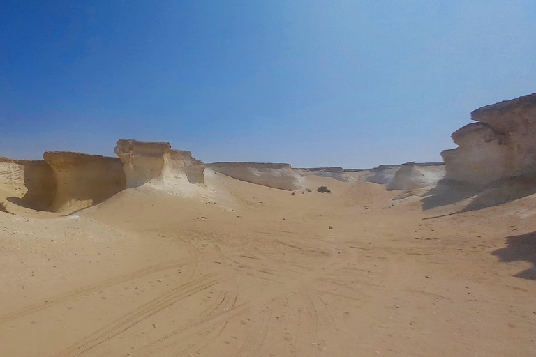 Doha: West Coast Qatar Tour, Sculptures, Camel Racing track From Doha Premium West Qatar Tour