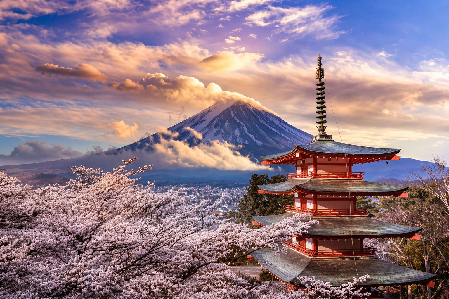 Ab Tokio: Private Tour zum Berg Fuji mit englischsprachigem Guide