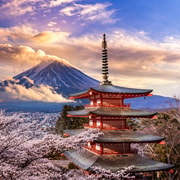 From Tokyo: Mount Fuji Private Tour With English Guide