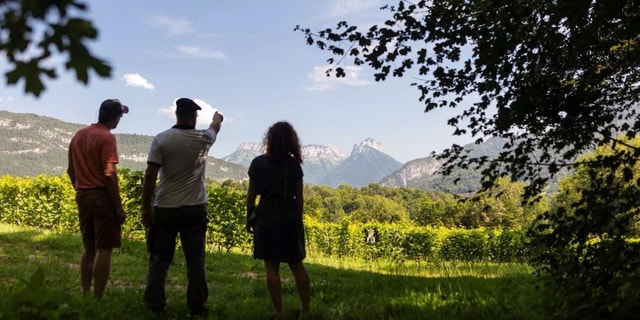 Departure from Annecy: Wine tasting in Savoie and exploration of a vineyard