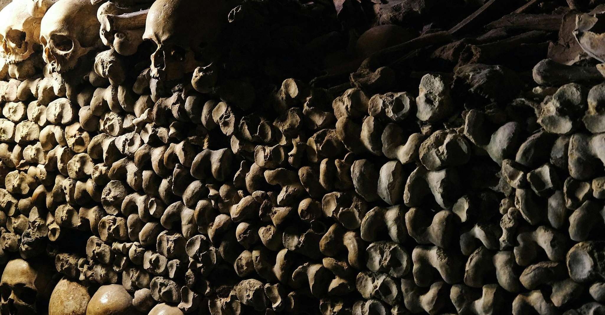 Paris: Catacombs Entry & Optional 24-Hour Seine River Cruise