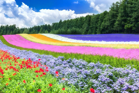 Patchwork Road Hidden-Gem Flower Tour