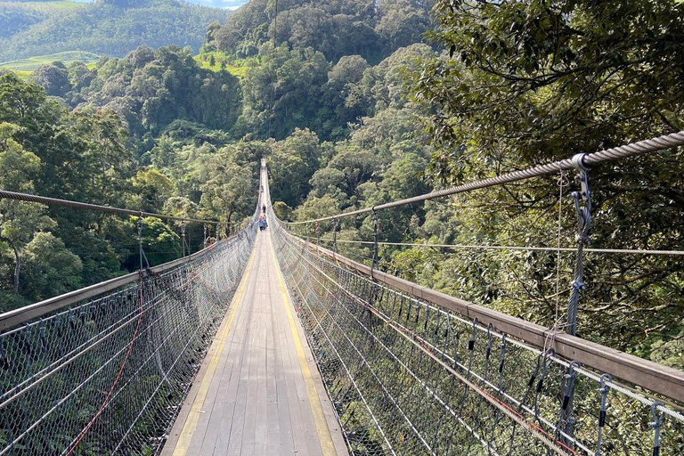 JAKARTA: WYCIECZKI PO JAWIE DO BANDUNG/YOGYAKARTA/BROMO/IJEN