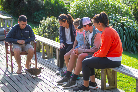 De Wellington: Tour guiado de um dia pela Ilha Kapiti