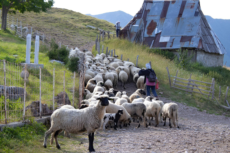 Sarajevo: Lukomir Nomad Village Hiking Tour + Lunch Included
