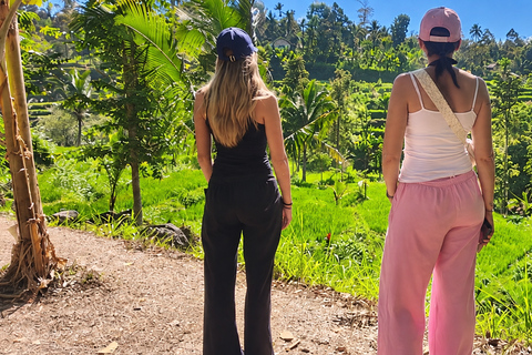 Lombok: Black Langur, Rice Fields & Sarang Walet Falls Sukarara, Black Langur, Rice Fields & Sarang Walet Falls