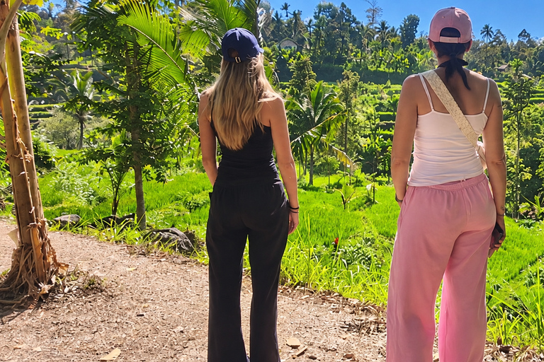 Lombok: Black Langur, Rice Fields & Sarang Walet Falls Sukarara, Black Langur, Rice Fields & Sarang Walet Falls