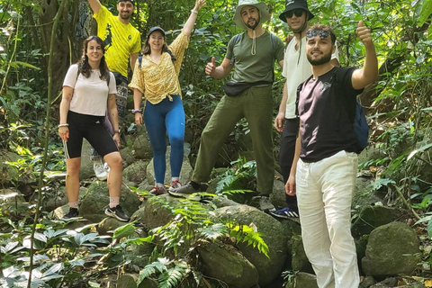 Chiang Rai: Trekking, Bamboo Cooking, and Hot Springs Tour