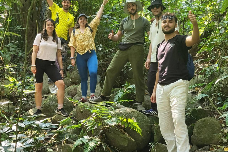 Chiang Rai: Trekking, Bamboo Cooking, and Hot Springs Tour