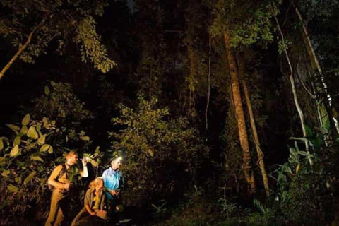 Madre de Dios: Amazon Rainforest Nocturnal Tour