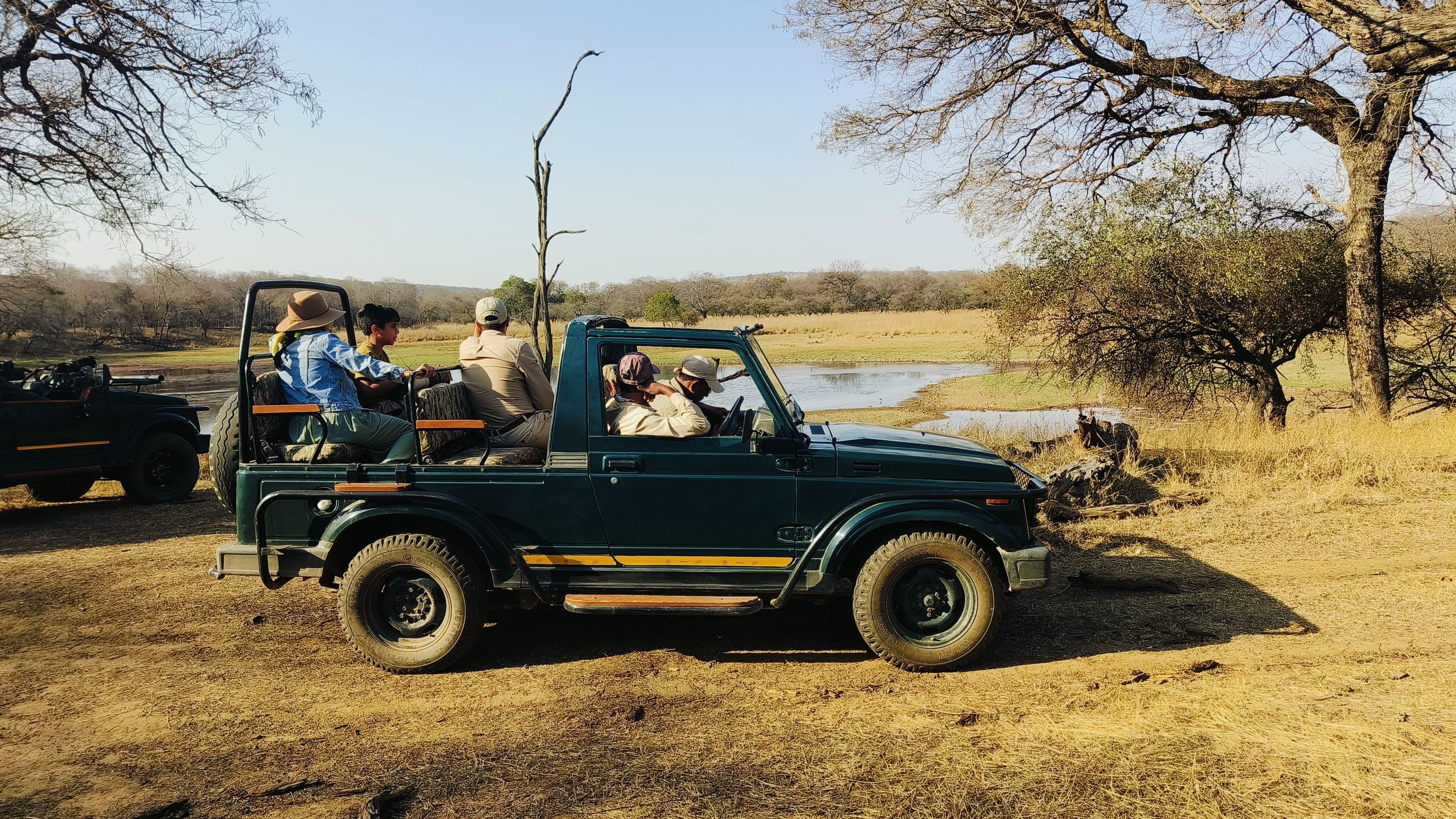 Von Agra aus: 2 Tage 1 Nacht Ranthambore Tiger Safari Tour