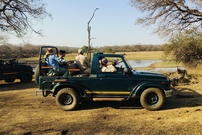 From Delhi: 2 Days 1 Night Ranthambore Tiger Safari Tour 5-Star Hotel, Car, Driver, Guide, 2 Safari & All Meal