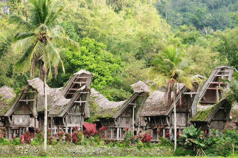 Tana Toraja: tour privato di 3D2N nel Sulawesi meridionaleTour senza voli