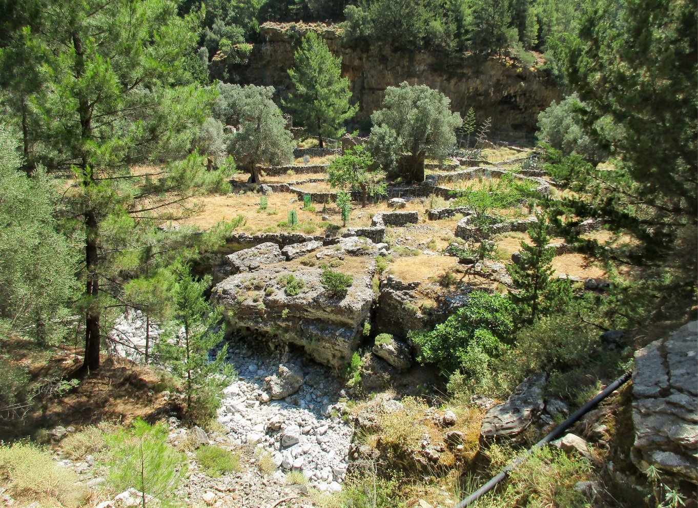 Fra Chania: Heldagsudflugt i Samaria-kløften med guide