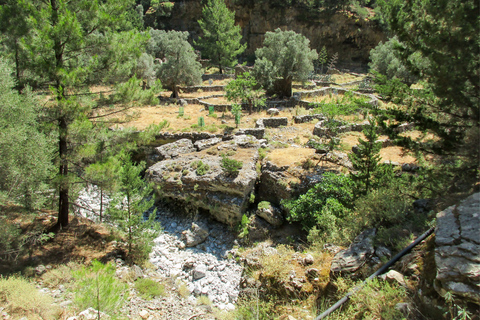 Gole di Samariá: escursione di un giorno con trekking da La CaneaDa Kalyves o Almyrida