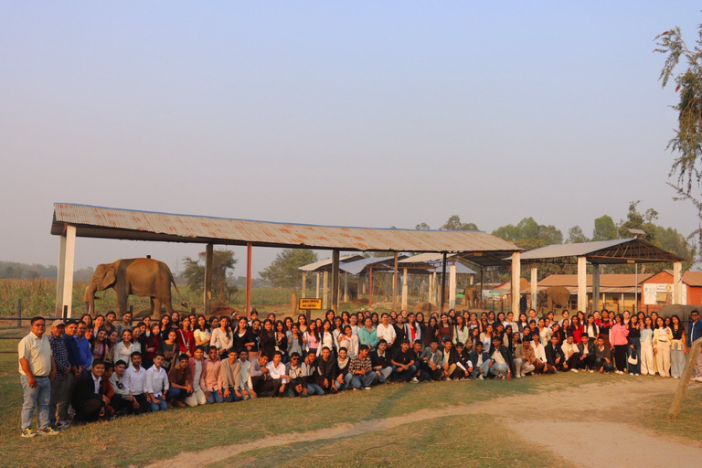 Koshi Tappu Wildlife Safari 3 Days from Kathmandu