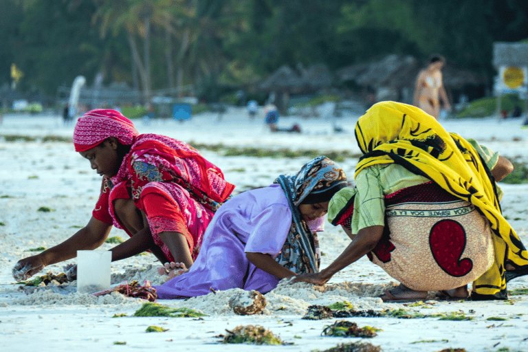 Dwudniowa przygoda na Zanzibarze: Więzienna Wyspa i Sandbank w komplecieKaribu Zanzibar: Wyspa Więzienna i Ławica