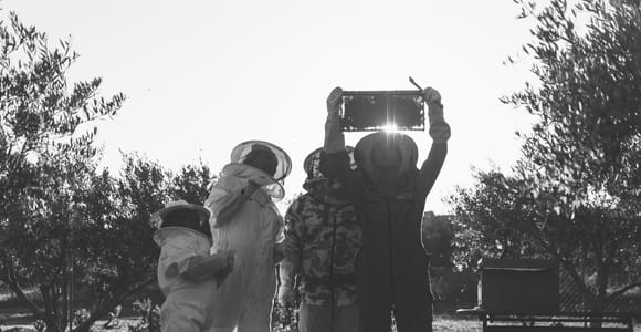 Athens: Beekeeping & Honey Tasting Workshop