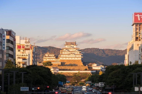 Family Tour: Explore Kobe & Himeji Culture & History