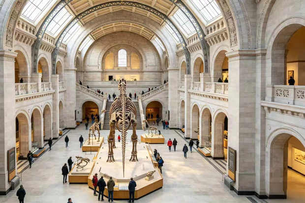 Rundtur på American Museum of Natural History och provsmakning av lokala kakor
