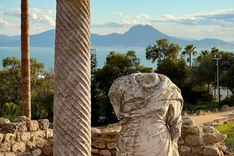 From Tunis & Hammamet: Bardo, Carthage & Sidi Bou Said