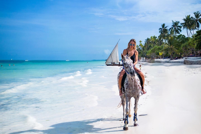 Zanzibar: Ridning och sköldpaddssimning