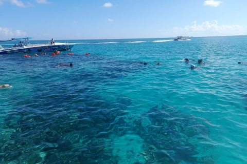 Nassau : Excursion en bateau privé sur l'île Rose - jusqu'à 10 personnesNassau : Rose Island - Location d'un bateau privé pour une demi-journée