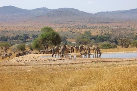 Safari de 3 dias em Taita Hills-Tsavo West com estadia em Saltlick