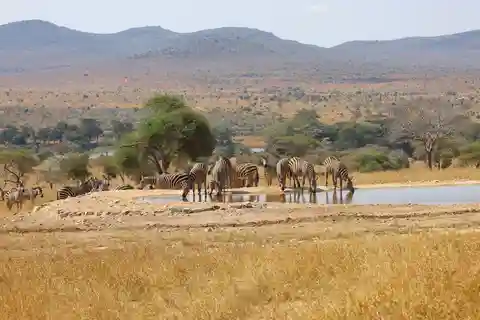 3-Day Tsavo East-Tsavo West safari staying at Saltlick lodge