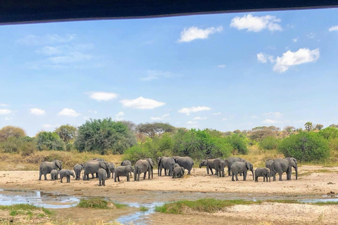 Safari de 3 días por el Serengueti y Ngorongoro desde Nairobi