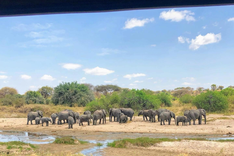 Safari de 3 días por el Serengueti y Ngorongoro desde Nairobi