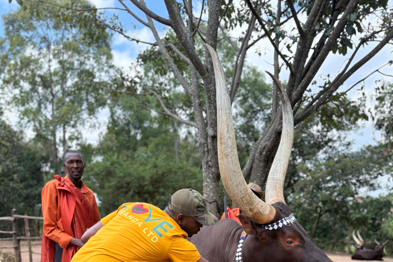 Nyanza: King's Palace Museum and Inyambo Royal Cows