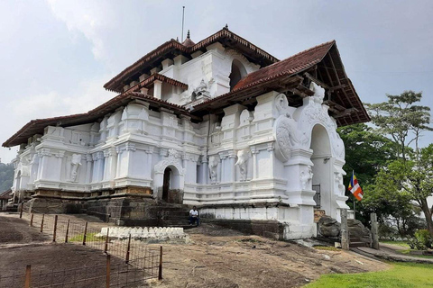 Negombo: 3-Day Sigiriya, Kandy, & Nuwara Eliya Tour