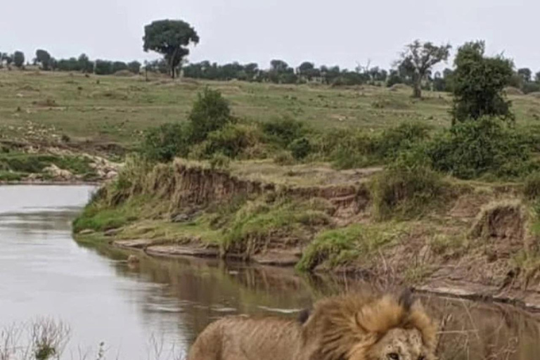 3-tägige Mikumi-Nationalpark-Sansibar-Safari mit Flügen