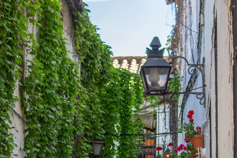 Córdoba: Old Town & Alcázar Private Tour + Light Show