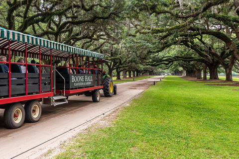Charleston: Boone Hall Plantation Tour