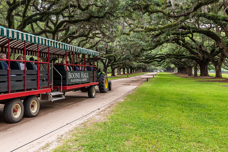 Charleston: Boone Hall Plantation Tour